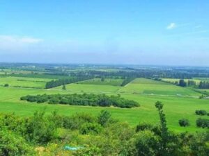 FB_IMG_1758018257304