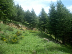 SANYO DIGITAL CAMERA