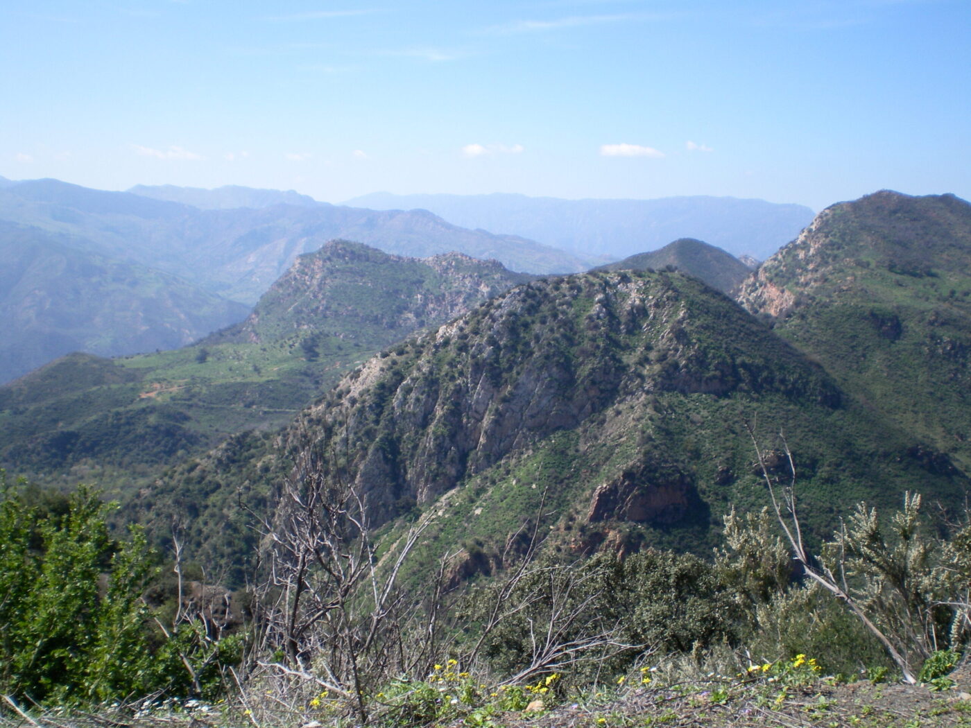 You are currently viewing الريف