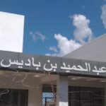 متوسطة عبد الحميد بن باديس 8